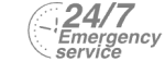 24/7 Emergency Service Pest Control in Brixton, SW2. Call Now! 020 8166 9746