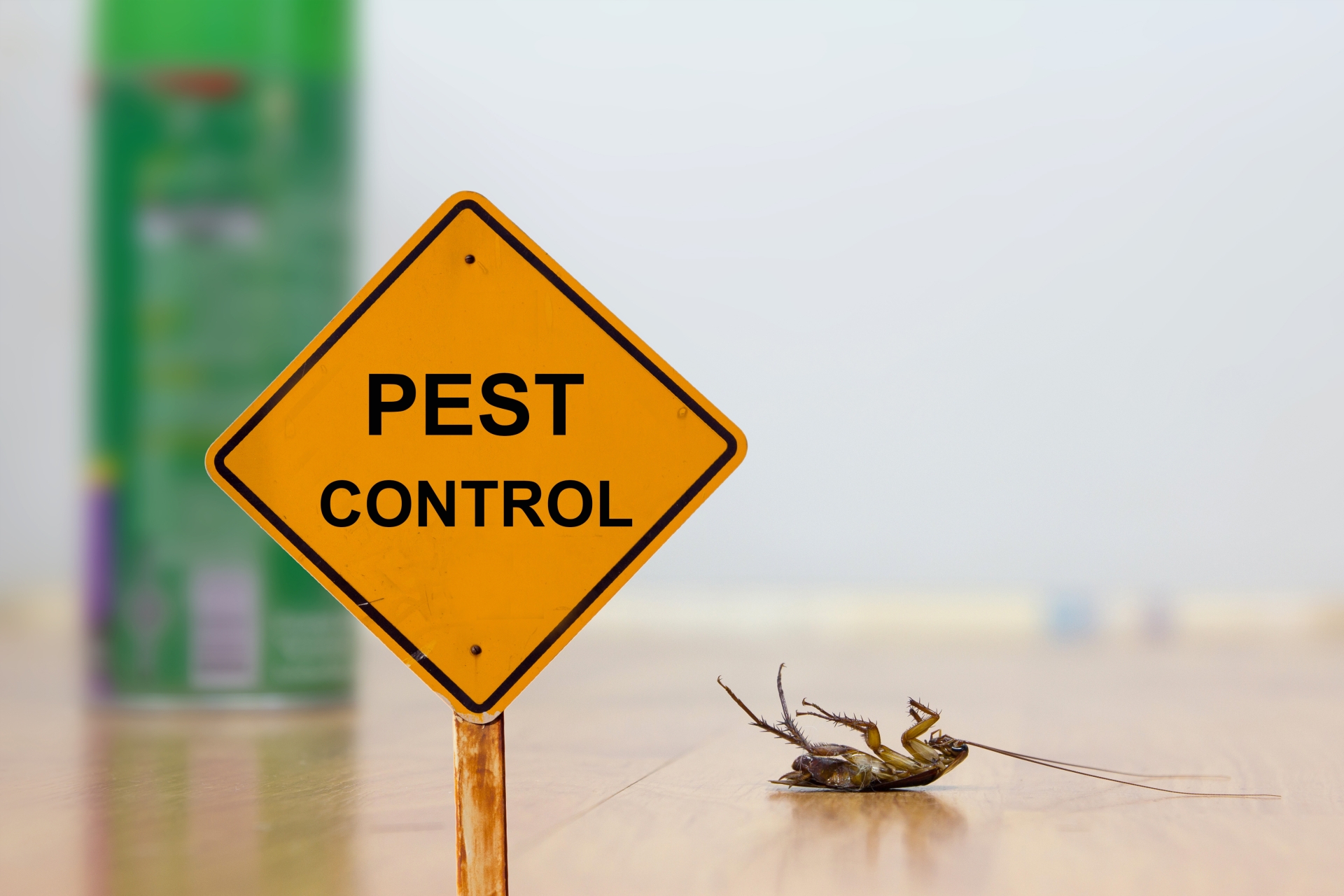 24 Hour Pest Control, Pest Control in Brixton, SW2. Call Now 020 8166 9746